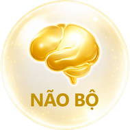 Não bộ