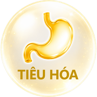 Tiêu hóa